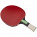 Ракетка для настільного тенісу BUTTERFLY 85082 TIAGO APOLONIA TAX3 кольори в асортименті