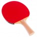 Набор для настольного тенниса BUTTERFLY FREE YOUR LIFESTYLE 85210 1 ракетка 2 мяча чехол