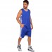 Форма баскетбольна чоловіча Lingo LD-8018 L-5XL кольори в асортименті
