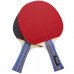 Набор для настольного тенниса DNC МТ-33932 2 ракетки чехол