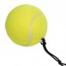 Тенісний м'яч на гумці Fight Ball SP-Sport 858 салатовий
