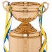 Кубок спортивный с крышкой и чашей SP-Sport CUP C-1505A высота 57см