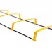 Координаційні сходи доріжка з бар'єрами SP-Sport C-4892 2,15м жовтий