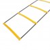Координаційні сходи доріжка з бар'єрами SP-Sport C-4892-12 4,3м жовтий