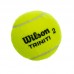 М'яч для великого тенісу WILSON TRINITI WRT125200 3шт салатовий