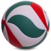 М'яч волейбольний MOL VB-2635 №5 PU клеєний