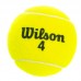М'яч для великого тенісу WILSON AUSTRALIAN OPEN T1047 3шт салатовий