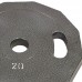 Блины (диски) стальные окрашенные Champion Newt NT-5221-20 52мм 20кг серый