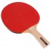 Набір для настільного тенісу DUNLOP RAGE DL6792122 ракетки 3 м'яча сітка чохол