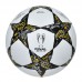 Мяч футбольный HYDRO TECNOLOGY SHINE CHAMPIONS LEAGUE FB-5832 №5 PU