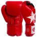 Боксерські рукавиці шкіряні FAIRTEX BGV1N NATION PRINT 10-16 унцій кольори в асортименті