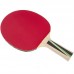 Ракетка для настільного тенісу DONIC LEVEL 400 MT-715041 TOP TEAM кольори в асортименті