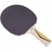 Ракетка для настольного тенниса DONIC LEVEL 200 MT-705021 TOP TEAM цвета в ассортименте