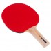 Набор для настольного тенниса DONIC APPELGREN 2 LEVEL 100 MT-788610 2 ракетки 3 мяча