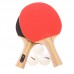 Набір для настільного тенісу STIGA SGA-1220281601 2 ракетки 3 м'яча