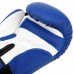 Боксерські рукавиці HARD TOUCH BO-4432 10-14 унцій кольори в асортименті