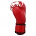 Боксерські рукавиці MIKE TYSON VL-8448 10-14 унцій кольори в асортименті