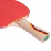 Ракетка для настільного тенісу GIANT DRAGON GUARD P40+ 2* MT-5688 ST12204P кольори в асортименті