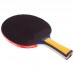 Набір для настільного тенісу GIANT DRAGON 4* MT-6541 1 ракетка 2 м'яча чохол