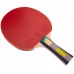 Набір для настільного тенісу GIANT DRAGON KARATE P40+4* MT-6546 2 ракетки 3 м'яча чохол