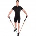 Еспандер Resistance Band багатофункціональний 5 джгутів CIMA ET-7912 у чохлі різнокольоровий