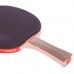 Ракетка для настільного тенісу в чохлі GIANT DRAGON 3* Offensive MT-6542 кольори в асортименті