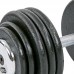 Гантель цільна професійна сталева пофарбована RECORD TA-7231-40 1шт 40кг чорний