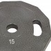 Млинці диски сталеві пофарбовані 2 Handle Champion Newt NT-5221-15 52мм 15кг сірий