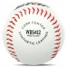 М'яч для бейсболу та софтболу Rookie SOFTBALL STAR WB5412 білий