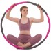 Обруч масажний Хула Хуп Hula Hoop Zelart FI-тисяча п'ятсот п'ятьдесят вісім 6 секцій рожевий-сірий