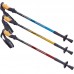 Палка трекінгова для скандинавської ходьби EXPONENT SP-Sport TY-8038 63-135см кольори в асортименті