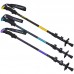 Палка трекінгова для скандинавської ходьби Exponent SP-Sport TY-8009 68-140см кольори в асортименті