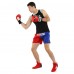 Шорти для тайського боксу та кікбоксингу TWN KICKBOXING BO-9950 M-XL червоний-синій