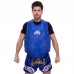 Захист корпусу (жилет) тренера TOP KING Training TKBDPT S-XL кольори в асортименті